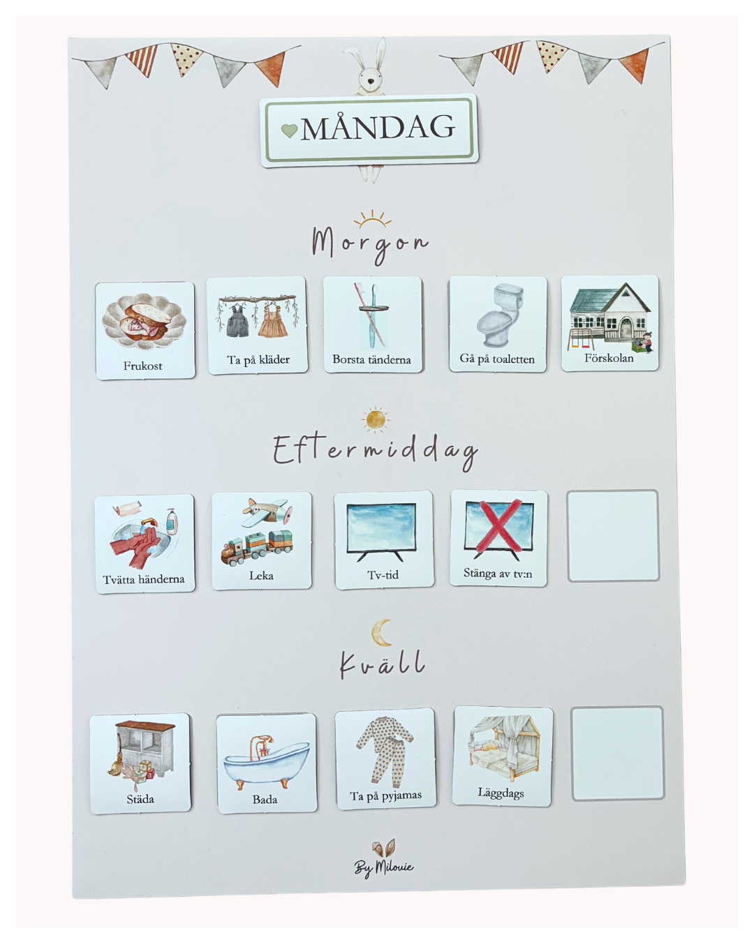 Magnetiskt dagsschema med bildstöd